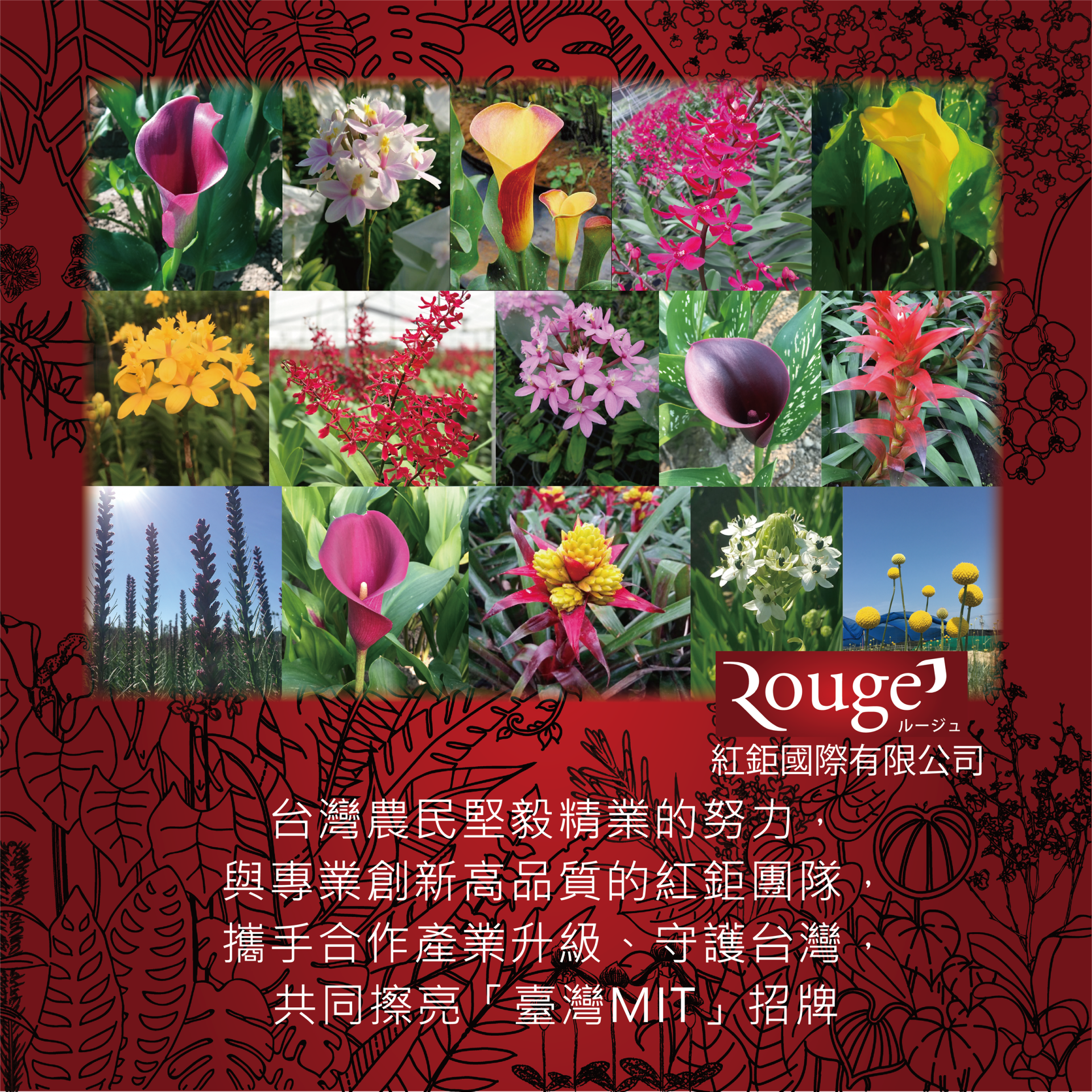 ROUGE FLORAL INTERNATIONAL CO., LTD. 紅鉅國際有限公司