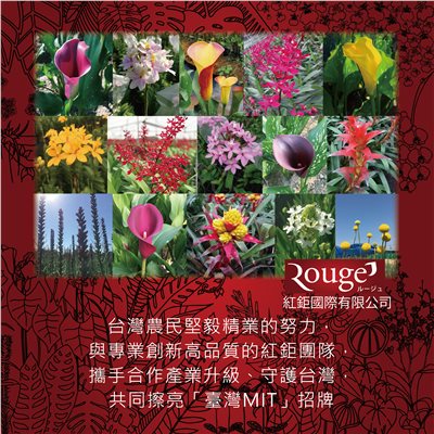 ROUGE FLORAL INTERNATIONAL CO., LTD. 紅鉅國際有限公司