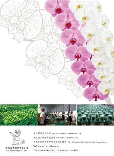 CHI YUEH ENTERPRISE LTD. 麒悅企業股份有限公司